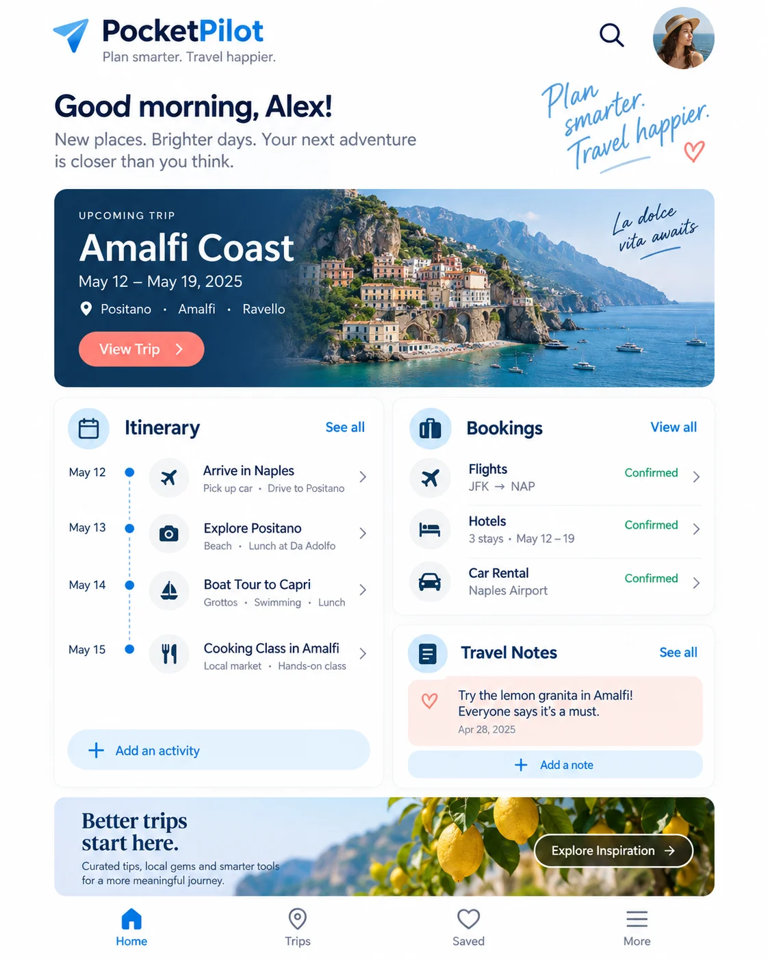 PocketPilot website after redesign