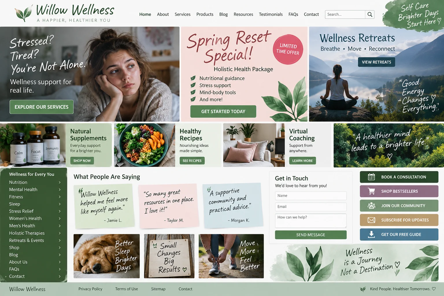 Willow Wellness website before redesign